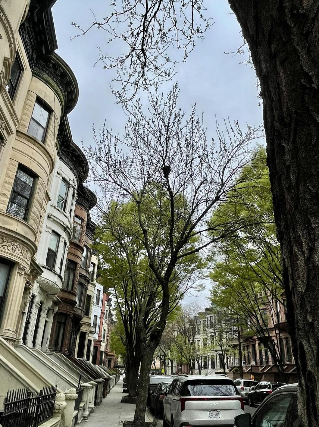 Nyc Townhouse Apartment New York Extérieur photo