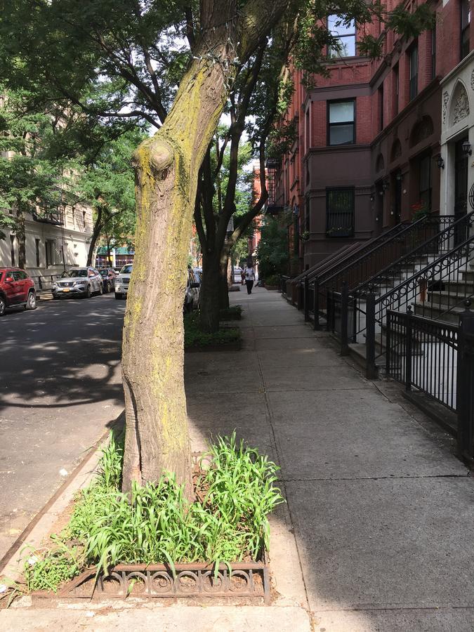 Nyc Townhouse Apartment New York Extérieur photo